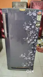Flower design single door fridge available