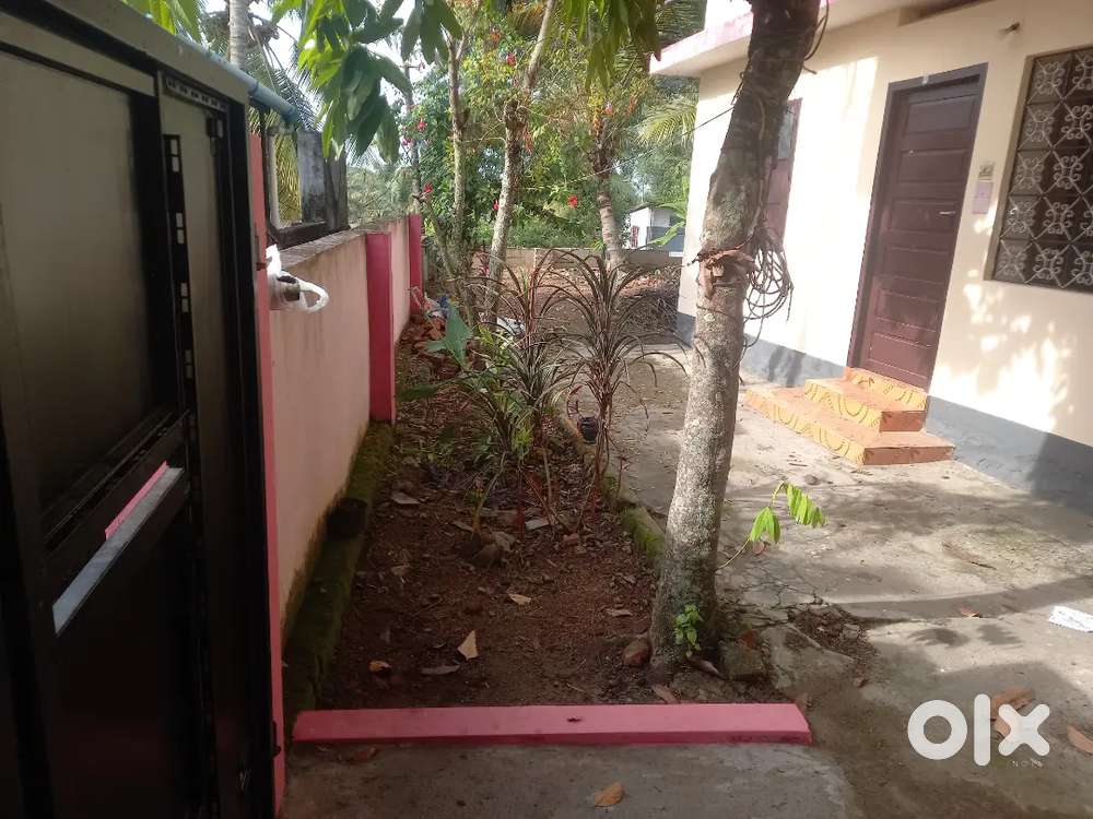 House + 4.25 cent property for sale near Thamalam.