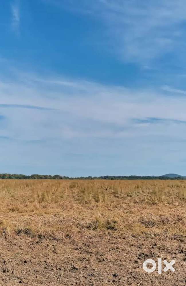 Want to sell this property genuine on genuine rate