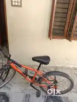 Cycle age is 4 years old