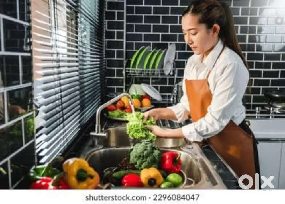 Lady Cook/maid chahiye