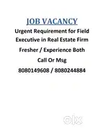 Job Vacancy for Field Executive for Real Estate Firm