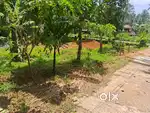 7 cent near kottaparamba, peringalam road