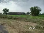 Arani 6533 Sqft Farm Land