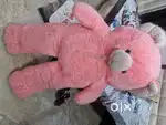 Teddy bear
