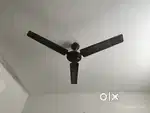 Ceiling Fan