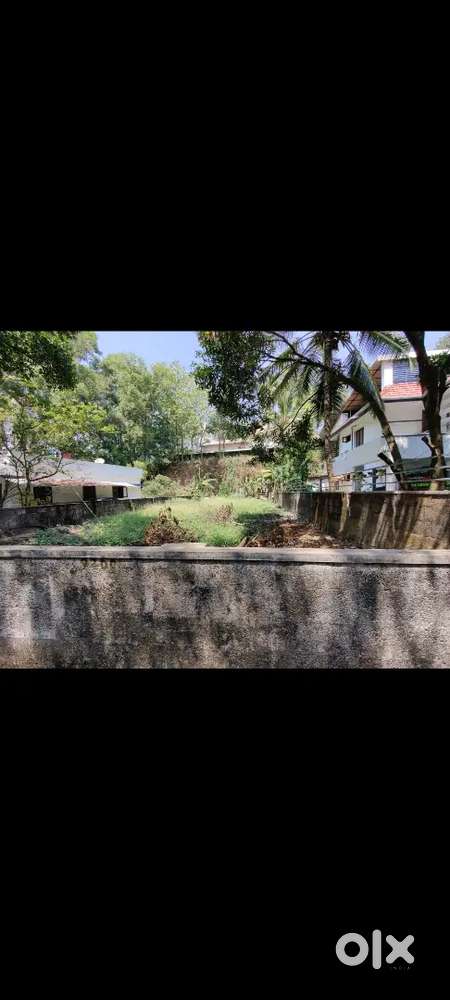 8 CENT COMMERCIAL PLOT SALE AT KAKKANAD THENGODE MAIN ROAD FRONT