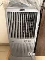 Symphony cooler for sale