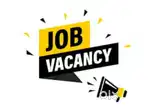 Fresher and experience
