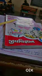 Biology paper style in 12th science gujarati medium