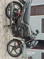 Passion pro 2015