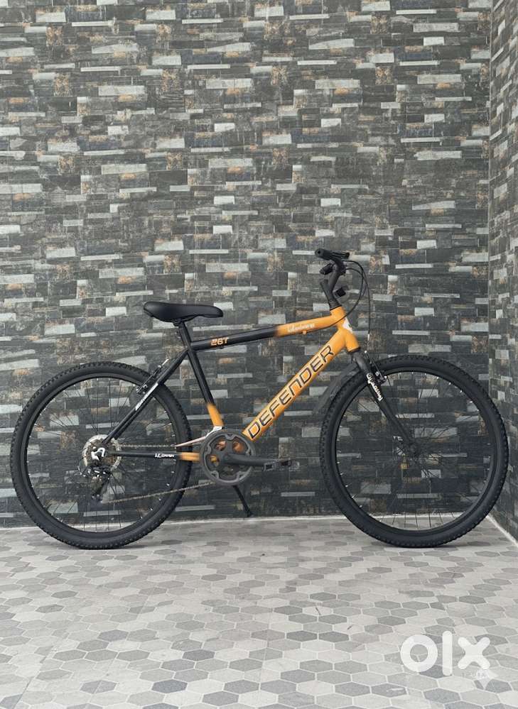 Lifelong warrior cycle