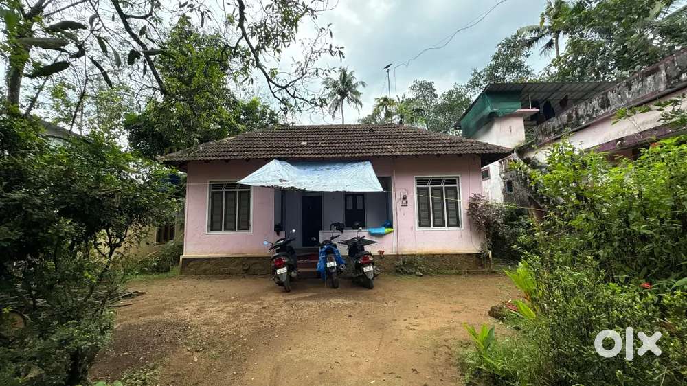 14 സെന്റ്  സ്ഥലവും ഓടിട്ട വീടും വിൽപ്പനക്ക്