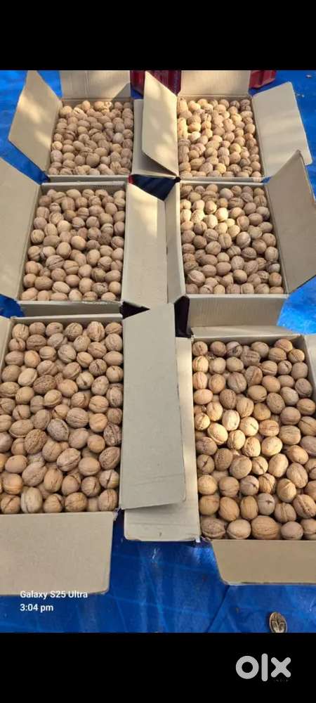 Organic walnuts & kiwi for sale