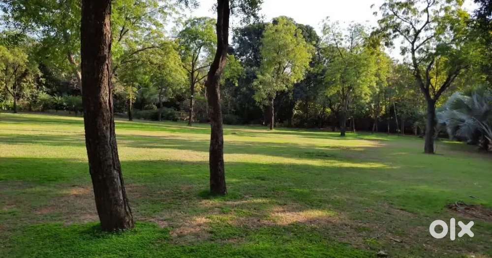 625 Sq Yd Open NA Plot Near Dharisana, Dehgam, Gandhinagar, Gujarat