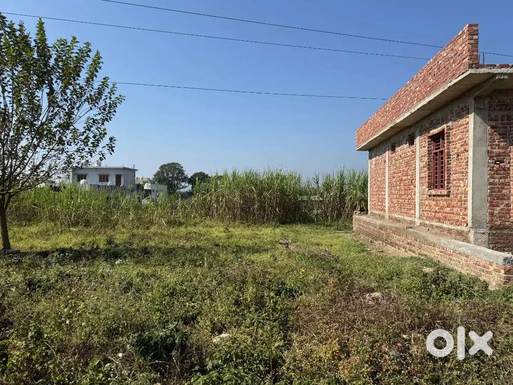 100 & 150 गज का प्लॉट, Bhaniyawala, Aarya Nagar