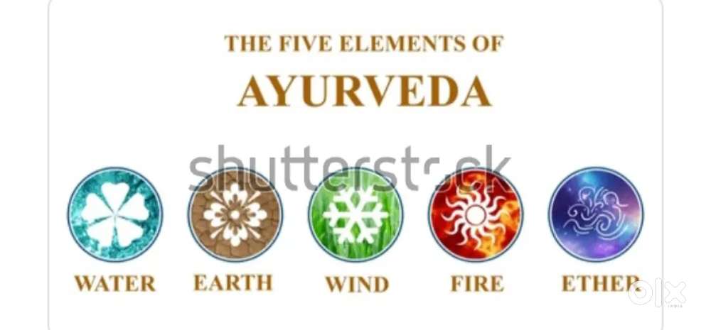 Work aayurveda promot