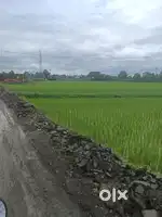 Cuttack - machhagan canal opposite side biribati, Bamburi road