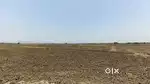 45 Guntha Agricultural Land in Vadkhal