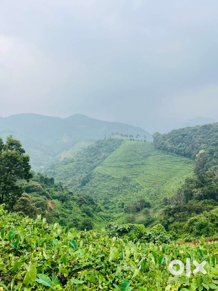 101 acre of land for sale