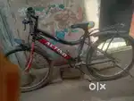 Action cycle hai