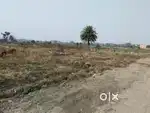Sapra gamharia registered plot 3.5 katha