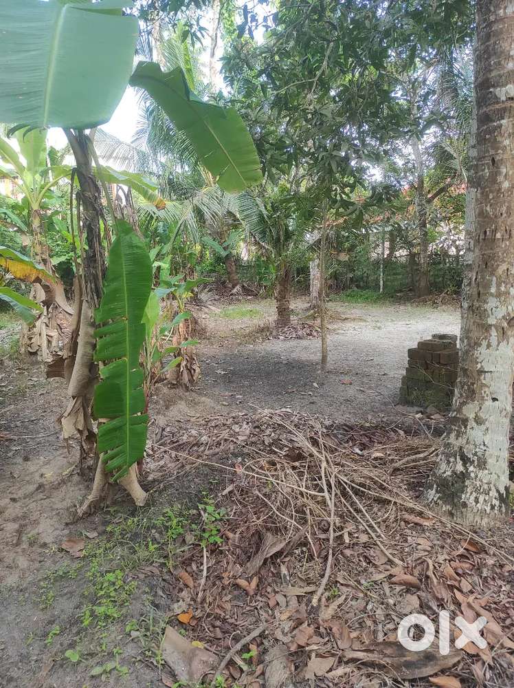 Plot for sale