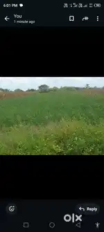 55km airport chikkaballapur city 25km and Genaral property