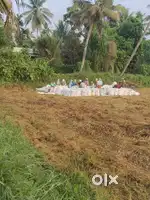 2 Acre Land
