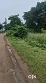 PLOT SALE  NEAR  MUKETESWAR BALI HARACHANDI TEMPLE PURI