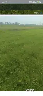 Green Farms - Buy Farmland near Joka khariberia