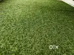 Carpet Grass , Astro turf , Artificial Grass