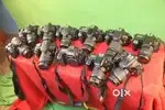CAMERA RENTAL