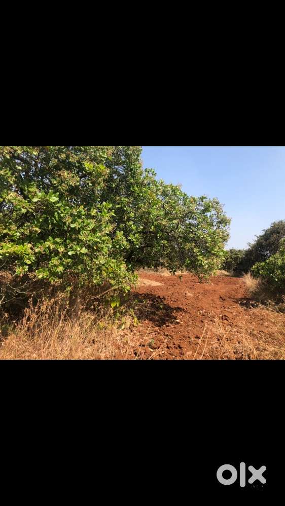8 gunta land sale in karle village