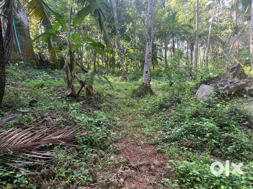 8 cent Land@payimbra