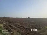 6 acres agricultural land for sale