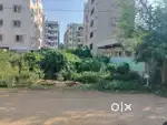 Sujathanagar 80 feet road 311 sq yards North facing 40*70