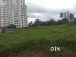 ORGINAL LAND FOR SALE 29 CENT KAKKANAD INFOPARK 4 KMS ONLY THENGOD