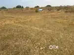 Highway se laga hua hai ring road mai jamin hai village ghuma katra