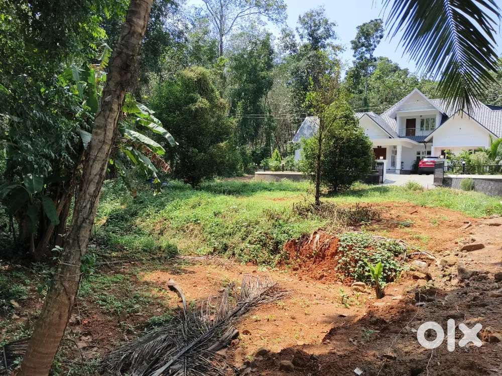 Plot for sale in thodupuzha, Nadukandam
