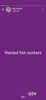 Wanted Fish cutting person, Daily salary