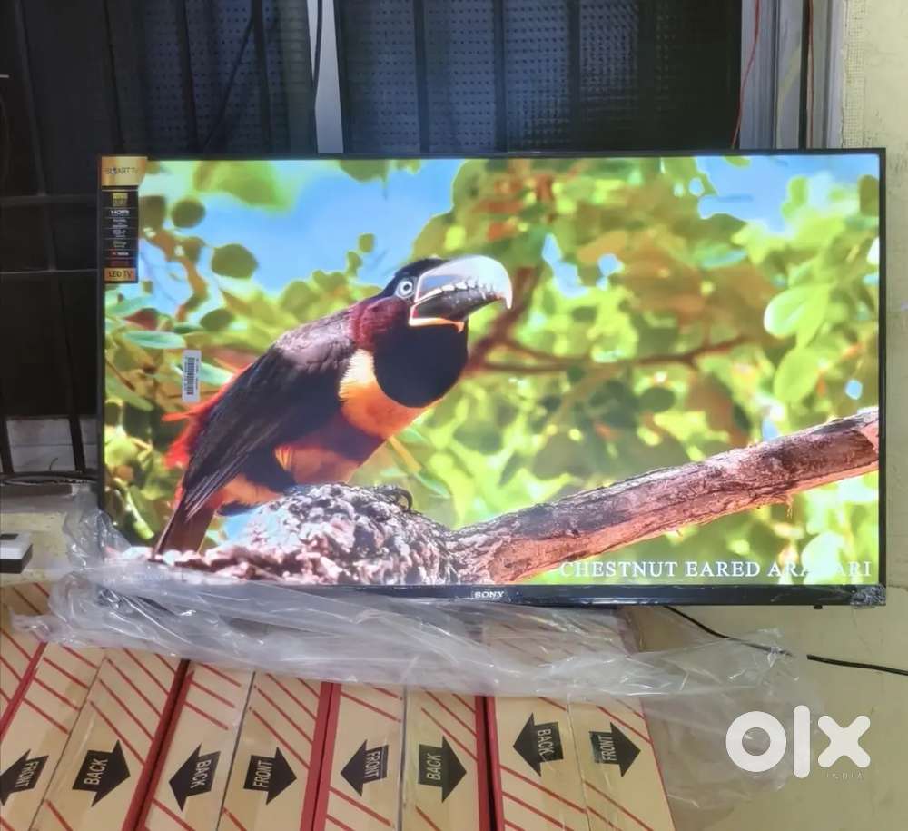 50 inch sony smart Android frameless oled 4k 3yr display waranty 25000