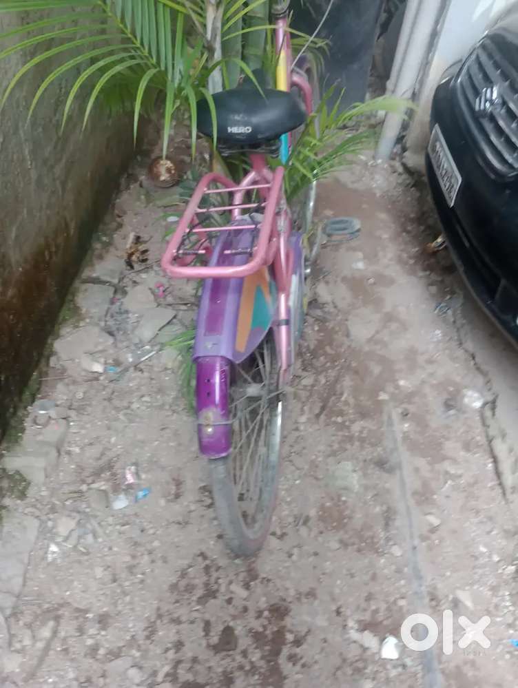 Lady bird cycle  2800