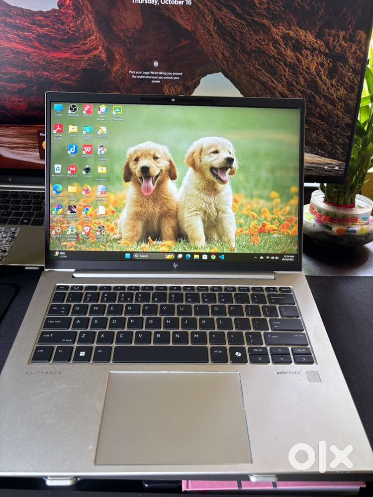 HP EliteBook 845 G11 (Ryzen 7 8840HS  32GB RAM  512GB SSD  Touch )