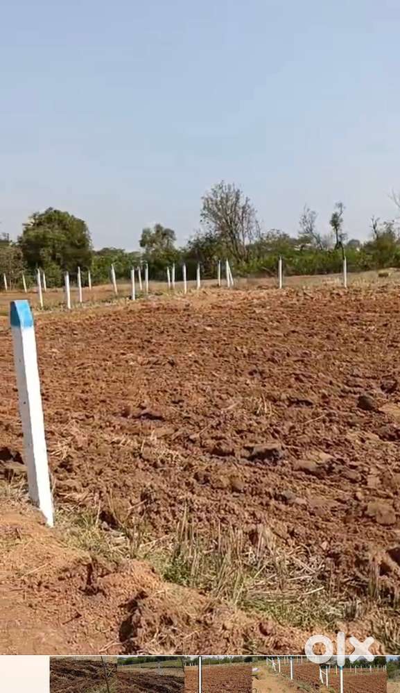 Agriculture land for sale at MARKOOK