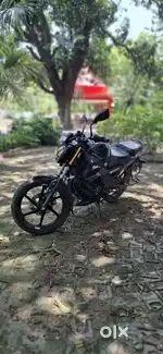 5 year insurance policy