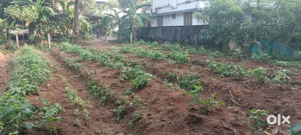 8.5 cent Residential plot for sale