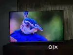 Mi 55 inch QLED TV