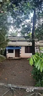 Edappally ponekkara individual house commercial purpose  rent 20000