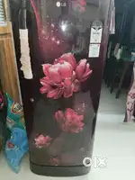 LG refrigirator